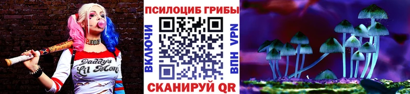блэк спрут онион  Полесск  Псилоцибиновые грибы Cubensis 